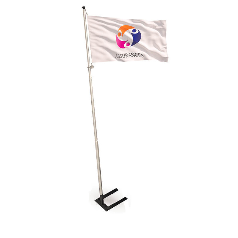 Mât de drapeau, en Aluminium, avec drapeau, Câble de traction et douille de  sol inclus acheter en ligne à bas prix