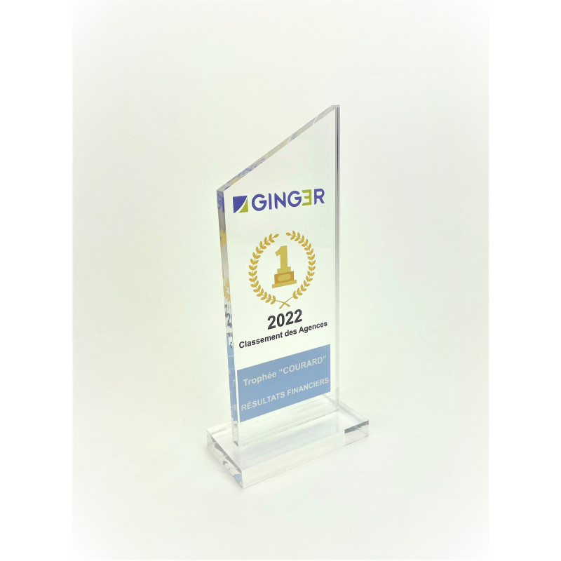 Plaques de Trophée en verre Plexi personnalisées / Prix en